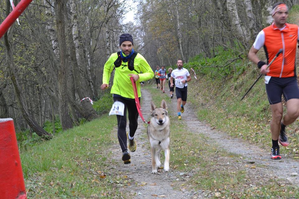 Lezione di preparazione Atletica del Cane: 27 Giugno 2015