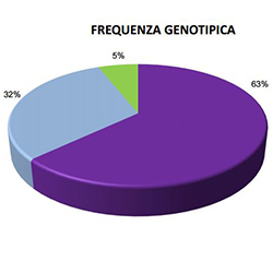 2009-2015 Prime osservazioni sulla DM nel Cane Lupo Cecoslovacco