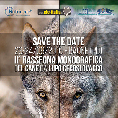 2° Monografica del Cane Lupo Cecoslovacco CLC-Italia - WGI Project - Nutrigene 23 e 24 Settembre