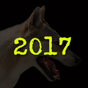 2017 in numeri