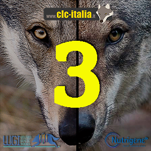 Terza Monografica CLC-Italia.it