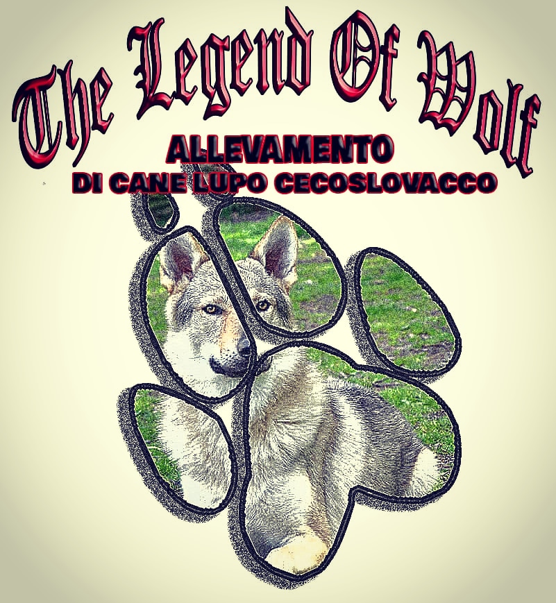 THE LEGEND OF WOLF