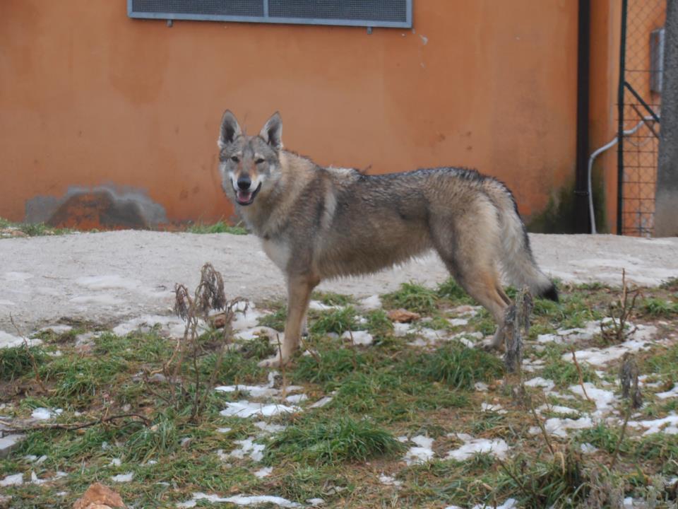 KIVA
