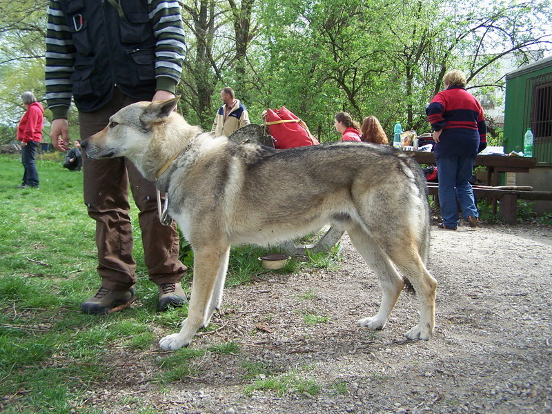 Cett Malý Bysterec